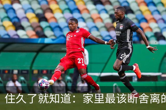 住久了就知道：家里最该断舍离的是这10样东西，房子越住越顺心