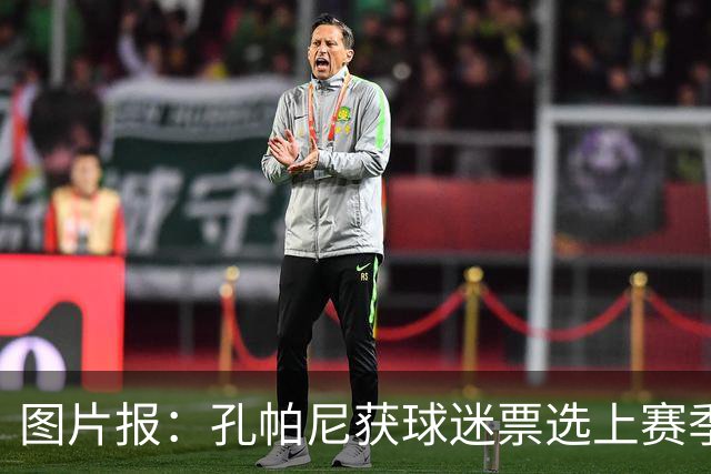 图片报：孔帕尼获球迷票选上赛季德甲最佳主帅