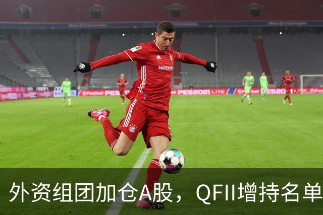 外资组团加仓A股，QFII增持名单曝光