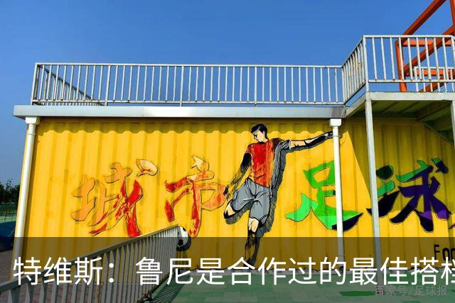 特维斯：鲁尼是合作过的最佳搭档，我们俩和C罗进球靠自己