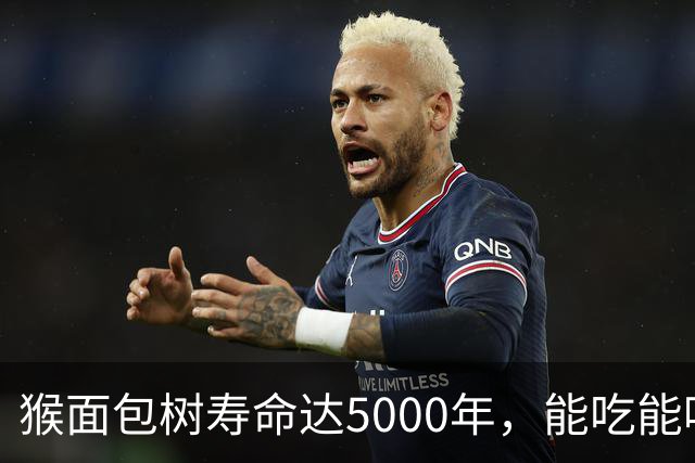 猴面包树寿命达5000年，能吃能喝又能住，为何引进中国却大变样？