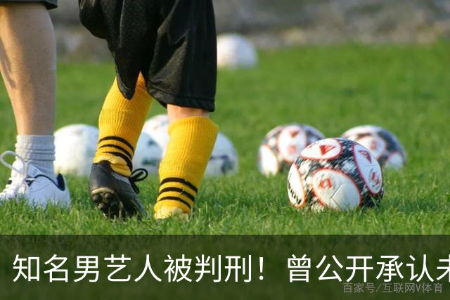 知名男艺人被判刑！曾公开承认未婚有子，'童年男神'滤镜碎一地
