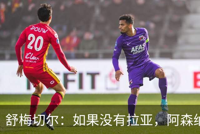 舒梅切尔：如果没有拉亚，阿森纳绝对不可能接近英超冠军