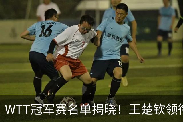 WTT冠军赛名单揭晓！王楚钦领衔出战，孙颖莎再度征战，蒯曼惊喜入选